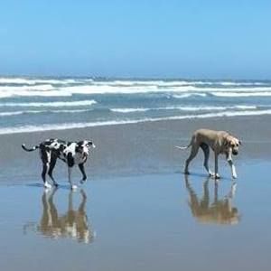 Meet your Posher, Sue